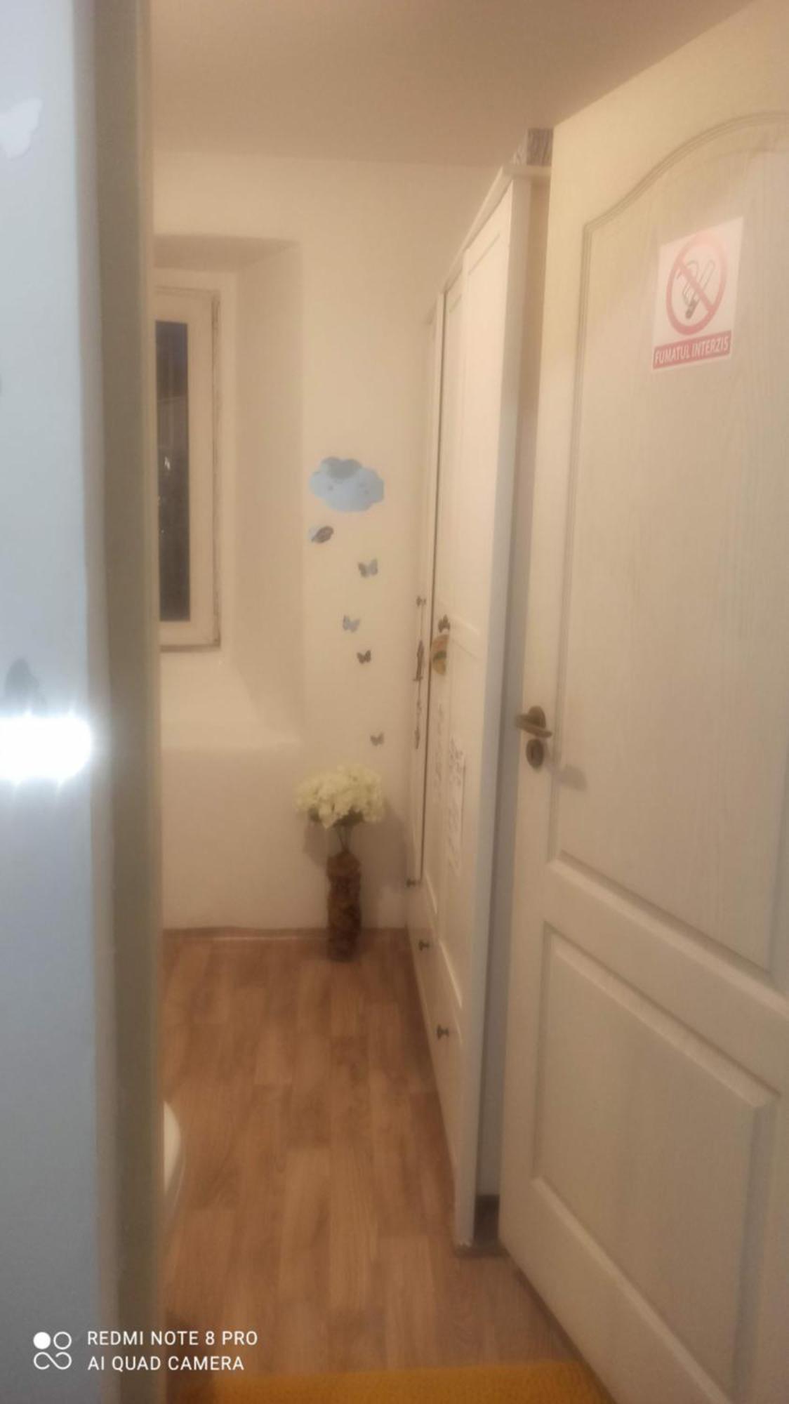 Studio Pe Somes Cluj-Napoca Exterior foto